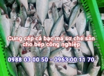 Cung cấp cá biển sơ chế sẵn cho bếp công nghiệp tại KCN Minh Hưng - Hàn Quốc