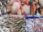 Cung cấp thực phẩm đã sơ chế cho suất ăn công nghiệp tại Bình Phước