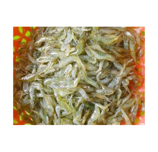 TÉP RUỘNG