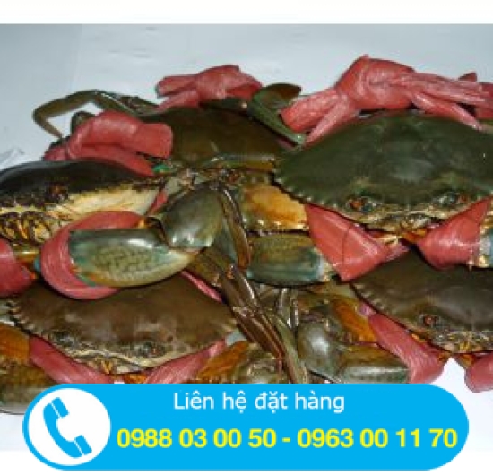 CUA THỊT CÀ MAU