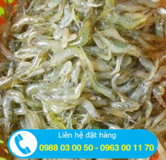 TÉP RUỘNG
